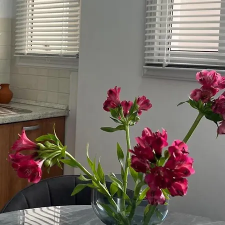 The Catherine Apartment *