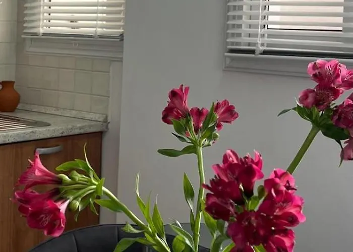 The Catherine Lejlighed *